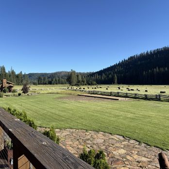 Highlands Ranch Resort - Meadow with the cows. - Resorts Near Me - Mill Creek, California Highlands Ranch Resort - Meadow with the cows. - Resorts Near Me - Mill Creek, California
