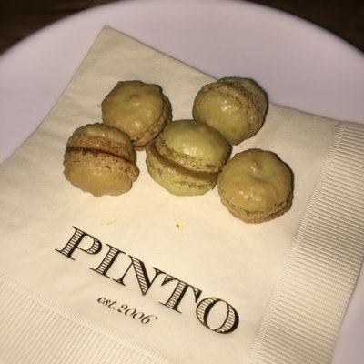 Pinto Garden by null