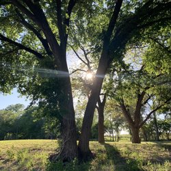 Bee Mountain Ranch & Resort