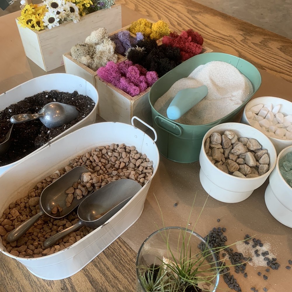 PlantHouse - Planting station! - Nurseries & Gardening Near Me - Charlotte, North Carolina