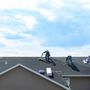 Photo of Vanguard Roofing