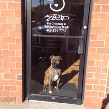 ZPup Dog Spa - Pet Groomers Near Me - Cumberland, Rhode Island ZPup Dog Spa - Pet Groomers Near Me - Cumberland, Rhode Island