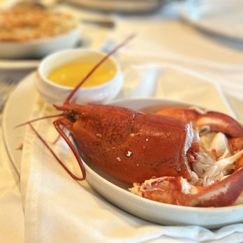 Abe & Louie's Boca Raton - Maine Lobster - Steakhouses Near Me - Boca Raton, Florida Abe & Louie's Boca Raton - Maine Lobster - Steakhouses Near Me - Boca Raton, Florida