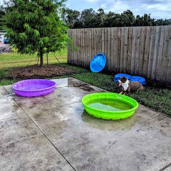 Shane Kelly Park - Dog pool area - Dog Parks Near Me - Oviedo, Florida