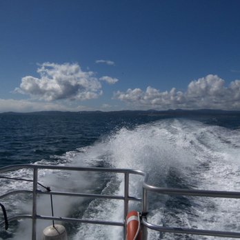 Eagle Wing Tours - Boat Charters Near Me - Victoria, British Columbia