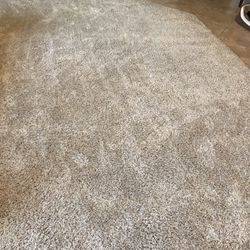 WORLD CLASS CARPET CLEANING - 191 Photos & 464 Reviews - Sacramento