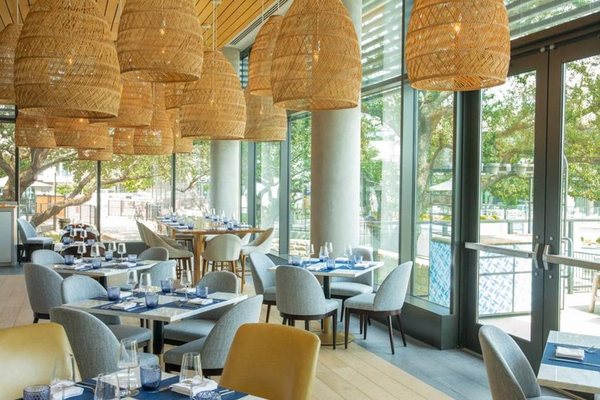 Anise Wine Bar - The Village Dallas by null