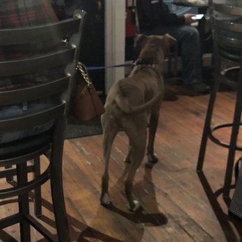 Seven Saws Brewing - Dogs allowed - Breweries Near Me - Holden, Massachusetts