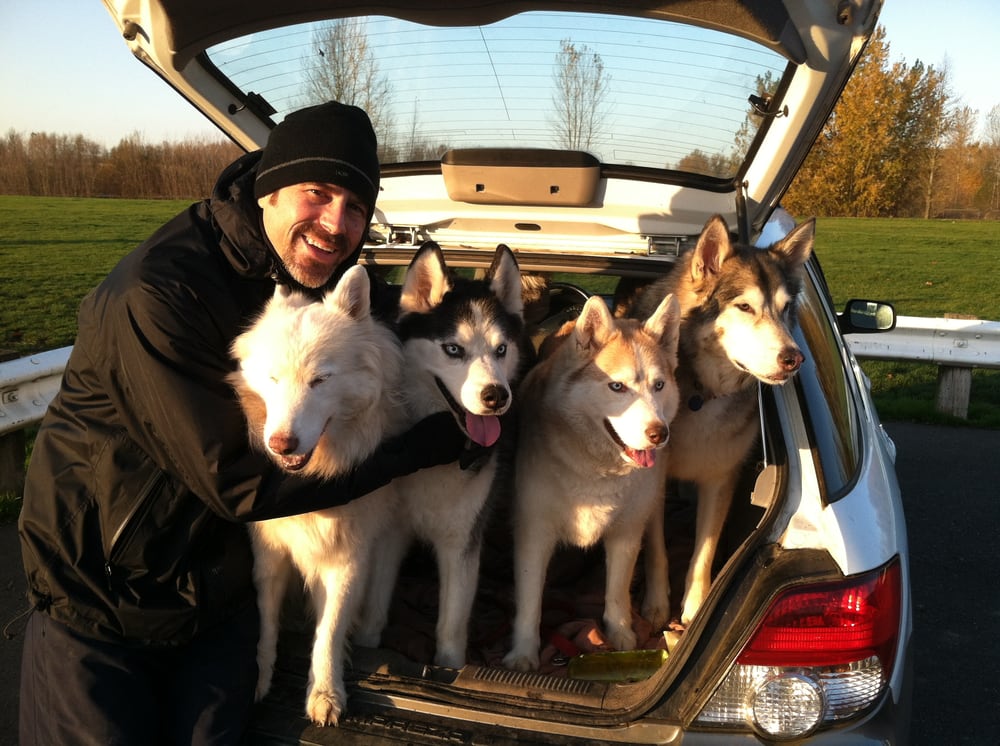 Miller Animal Care, LLC - pet boarding facility in Portland, OR