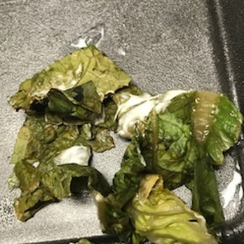 Ditali's Pizza Cafe - This is slimey, rancid lettuce that was on my sandwich, Manager said "oh we just took to long to get there" NOPE it was slimey and nasty! - Pizza Near Me - Harvey, Louisiana Ditali's Pizza Cafe - This is slimey, rancid lettuce that was on my sandwich, Manager said "oh we just took to long to get there" NOPE it was slimey and nasty! - Pizza Near Me - Harvey, Louisiana