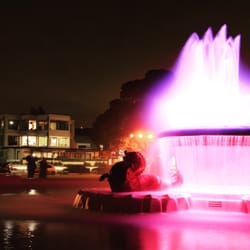 Selwyn Domain - A menagerie of colours.