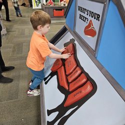 Discovery Center Museum - Cow parts puzzle