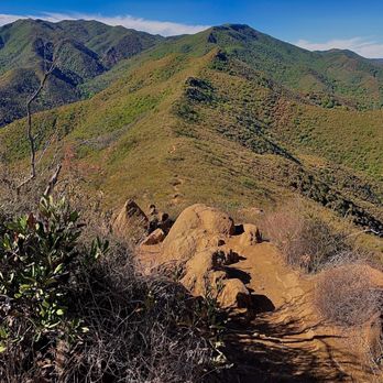 Stebbins Cold Canyon Loop Trail - Hiking Near Me - Winters, California