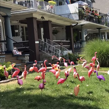 Gardenwalk Buffalo - Active Life Near Me - Buffalo, New York
