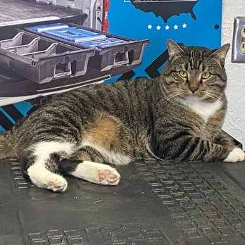 Topper Town - Greeter at the store - Auto Parts & Supplies Near Me - Albuquerque, New Mexico