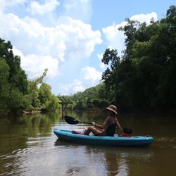 Kokomo Kayak Tours and Adventures