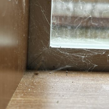 Alex’s Home Services - Window sill - Home Cleaning Near Me - Auburn, Washington Alex’s Home Services - Window sill - Home Cleaning Near Me - Auburn, Washington