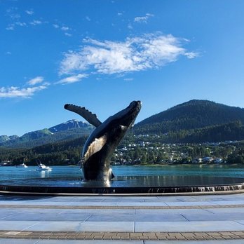 The Whale Project - The Whale Project July 2021 - Landmarks & Historical Buildings Near Me - Juneau, Alaska The Whale Project - The Whale Project July 2021 - Landmarks & Historical Buildings Near Me - Juneau, Alaska