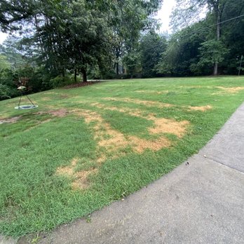 TruGreen Lawn Care - a patch of grass that has been mowed - Lawn Services Near Me - Norcross, Georgia TruGreen Lawn Care - a patch of grass that has been mowed - Lawn Services Near Me - Norcross, Georgia