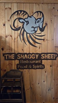 The Shaggy Sheep by null
