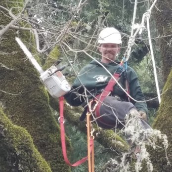 Marvin's Garden Tree Services - Tree Services Near Me - Willits, California Marvin's Garden Tree Services - Tree Services Near Me - Willits, California