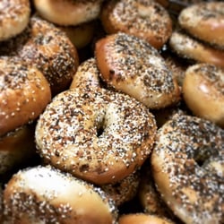 Wholy Bagel - Everything bagels! Wholy Bagel - best bagels in Austin. One of the best bagel shops in America. Scratch made New York style bagels.