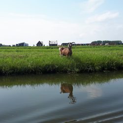 Museum Broeker Veiling