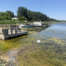 Mink Lake Resort & Campground