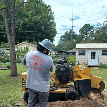 Elian's Tree Service - Tree Services Near Me - Kaufman, Texas