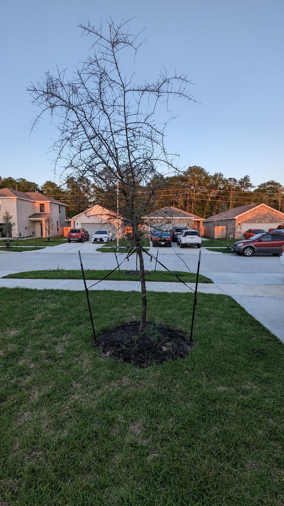 CENTURY COMMUNITIES Updated October 2024 26 Photos Houston, Texas