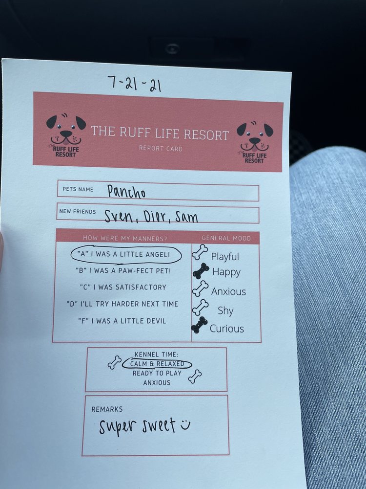 THE RUFF LIFE RESORT Updated September 2024 3224 41A S