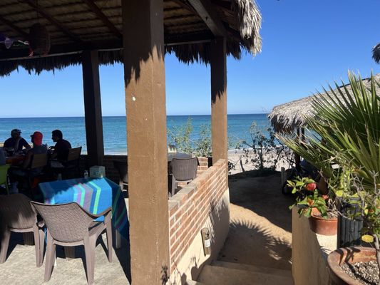 La Palapa Cabo Pulmo by null