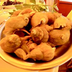 Les Vapeurs - Sea snails (Bulots)