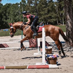 Moccasin Stables