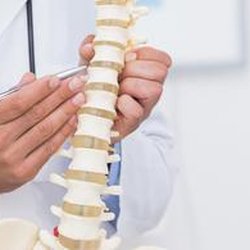 Aspen Summit Chiropractic - Untitled