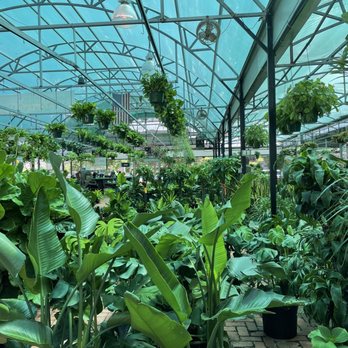 Ruibal's Plants of Texas - Nurseries & Gardening Near Me - Dallas, Texas Ruibal's Plants of Texas - Nurseries & Gardening Near Me - Dallas, Texas