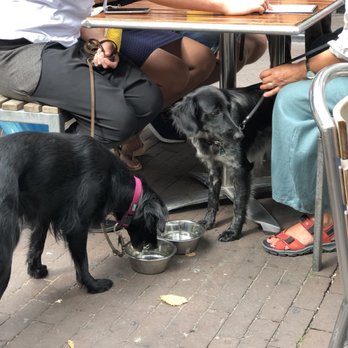 Gasthuys - Cafes Near Me - Amsterdam, New Hampshire