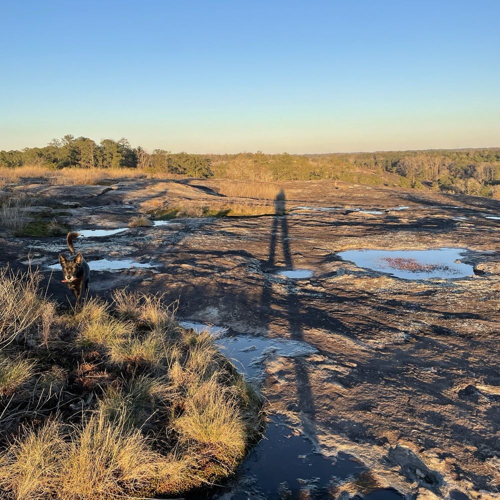 Arabia Mountain Trail - I love hiking right after it rains - Climbing Near Me - Lithonia, Georgia Arabia Mountain Trail - I love hiking right after it rains - Climbing Near Me - Lithonia, Georgia