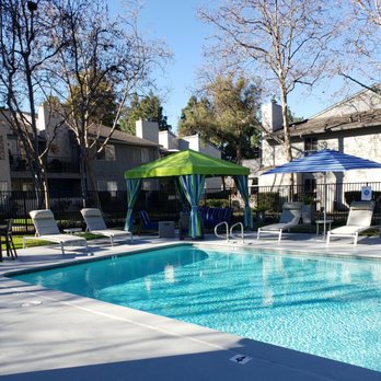 Level Up Pool Service - Our pools never looked better!  Thanks Level Up Pool Service!  You're the best ever! - Pool & Hot Tub Service Near Me