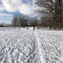 Photo of DePere Dog Park