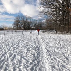 DePere Dog Park - Trails