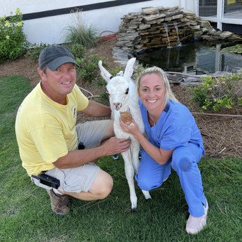 Ward Veterinary Services - Veterinarians Near Me - Tupelo, Mississippi Ward Veterinary Services - Veterinarians Near Me - Tupelo, Mississippi