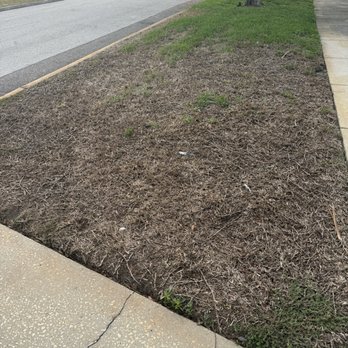 Abundant Lawn - Never told me my lawn was dying - Lawn Services Near Me