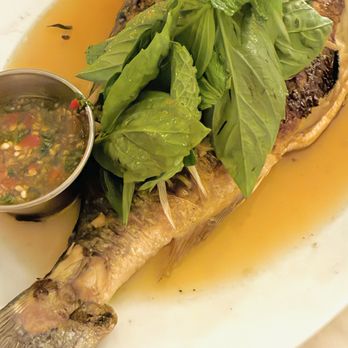 Sao - Whole Fish (Dorade w/ginger scallion hot oil & fish sauce vinaigrette & fresh Thai basil) - a must order!! - Seafood Near Me - Philadelphia, Pennsylvania Sao - Whole Fish (Dorade w/ginger scallion hot oil & fish sauce vinaigrette & fresh Thai basil) - a must order!! - Seafood Near Me - Philadelphia, Pennsylvania