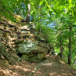 Fitzgerald Park - Outcroppings