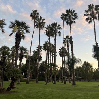 Lacy Park - Parks Near Me - San Marino, California