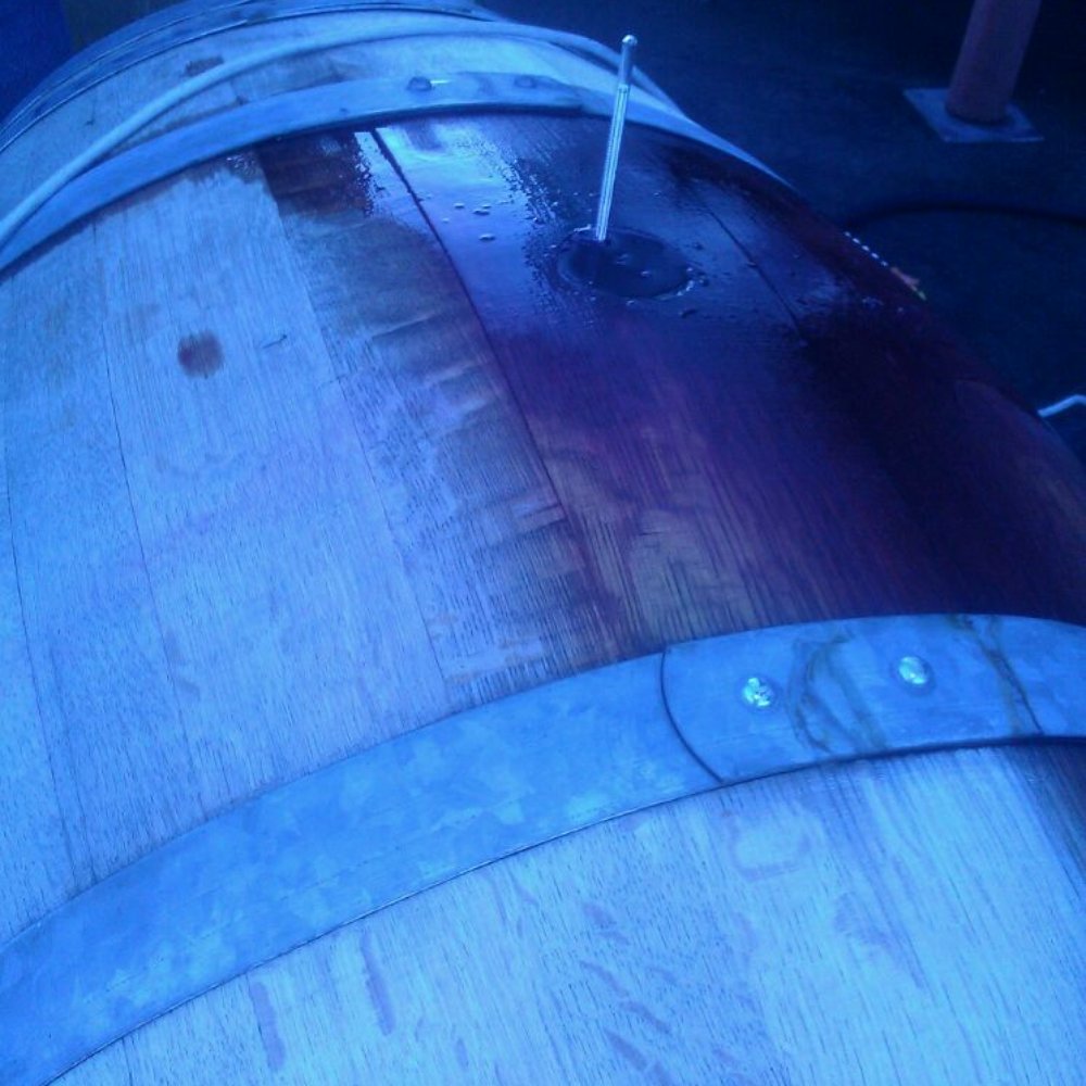 Viszlay Vineyards - Measuring the sugar - Wineries Near Me - Healdsburg, California
