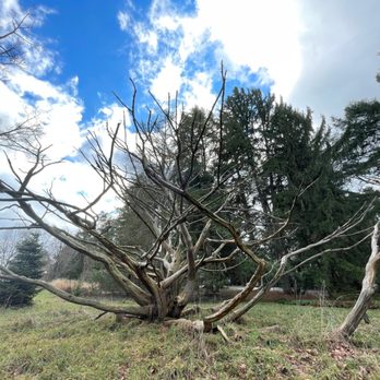 Stoneleigh: A Natural Garden - Botanical Gardens Near Me - Villanova, Pennsylvania