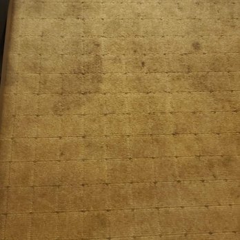 La Quinta by Wyndham Jackson - Stained carpet in room - Hotels Near Me - Jackson, Tennessee La Quinta by Wyndham Jackson - Stained carpet in room - Hotels Near Me - Jackson, Tennessee