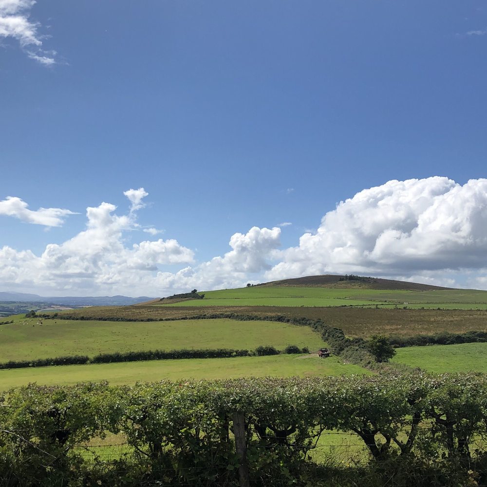 Wild Atlantic Tae - Coffee & Tea Near Me - Carrowreagh, DL